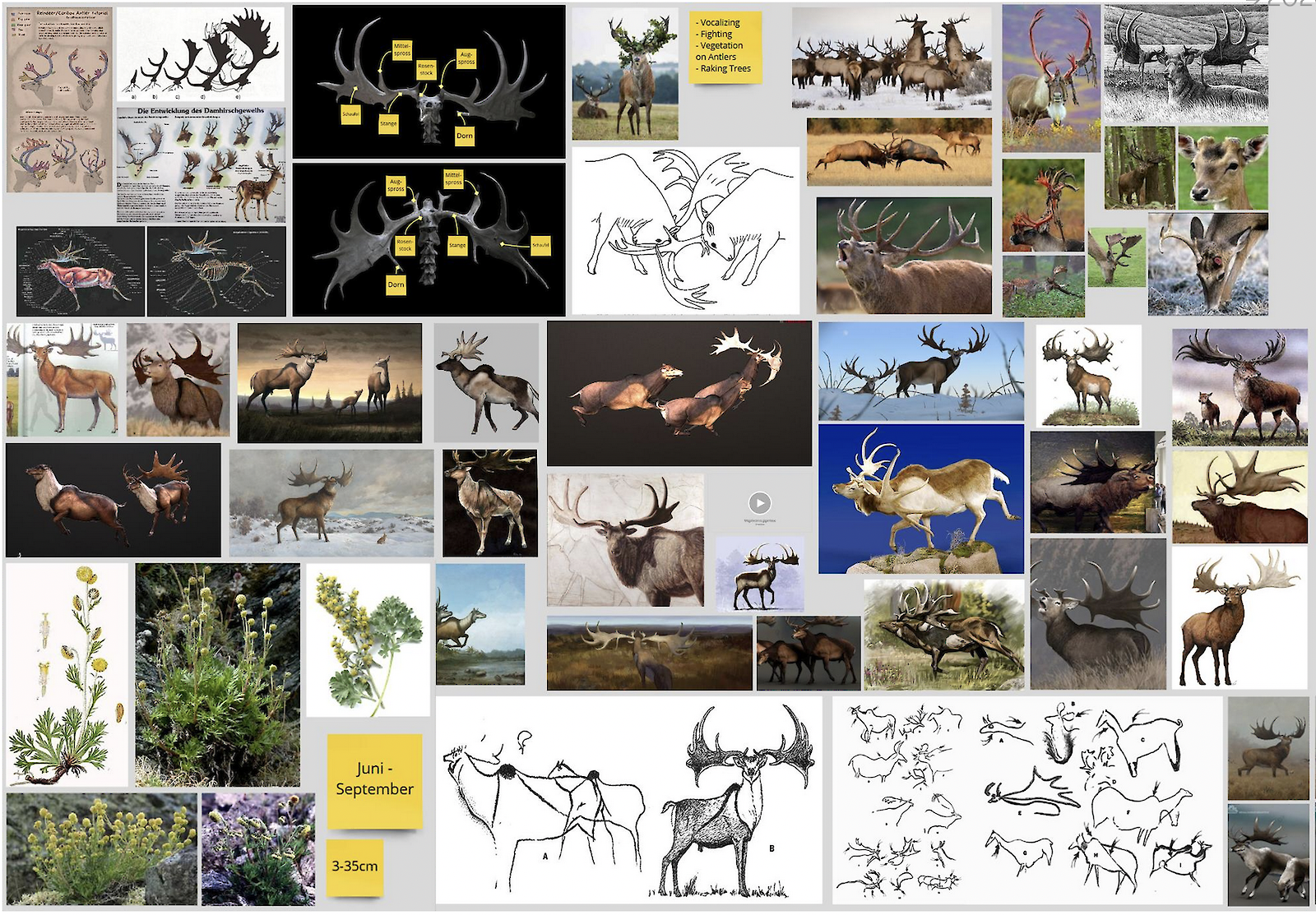 Ausschnitt aus der Bildrecherche
