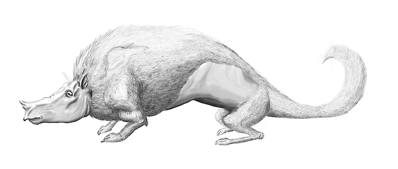 Fantasy animals cause real empathy