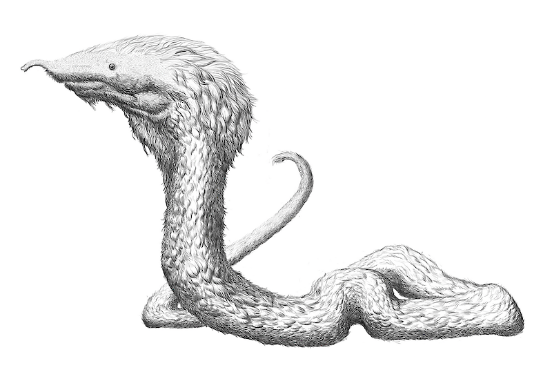 Fantasy animals cause real empathy