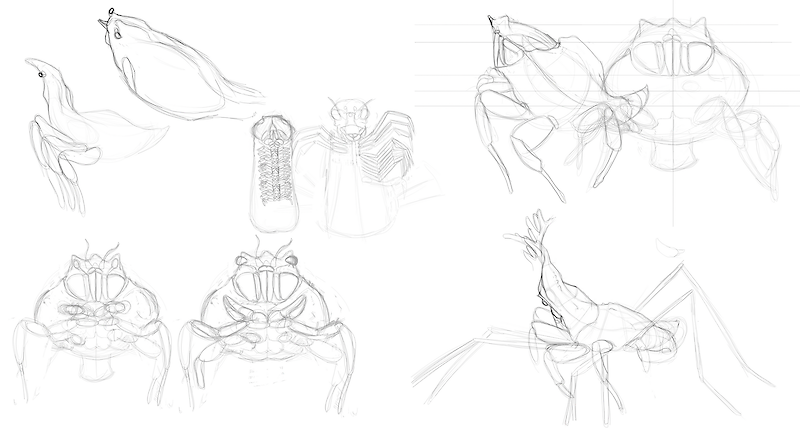 Sketches for the arthpod creature
