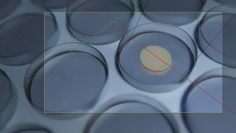 3D modellierte und gerenderte Petrischalen im Prozess.