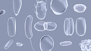 3D Rendering des Mikrobioms unter dem Mikroskop.