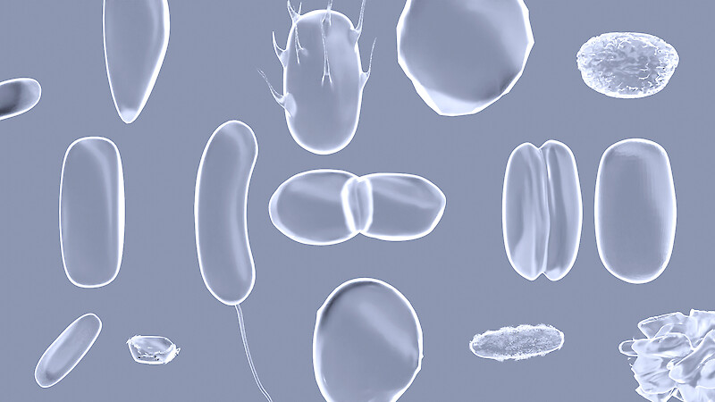 3D Rendering des Mikrobioms unter dem Mikroskop.