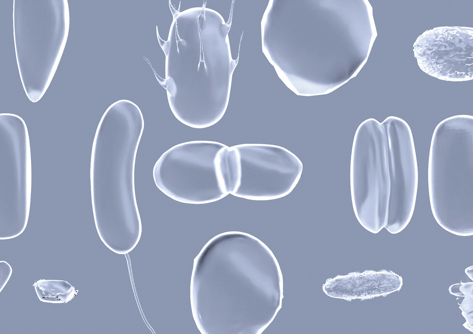 Diplome Knowledge Visualization 2022