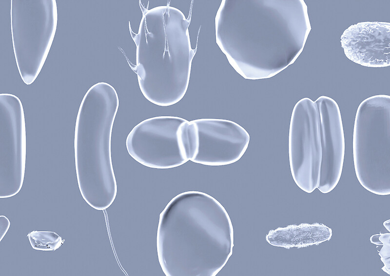 Diplome Knowledge Visualization 2022
