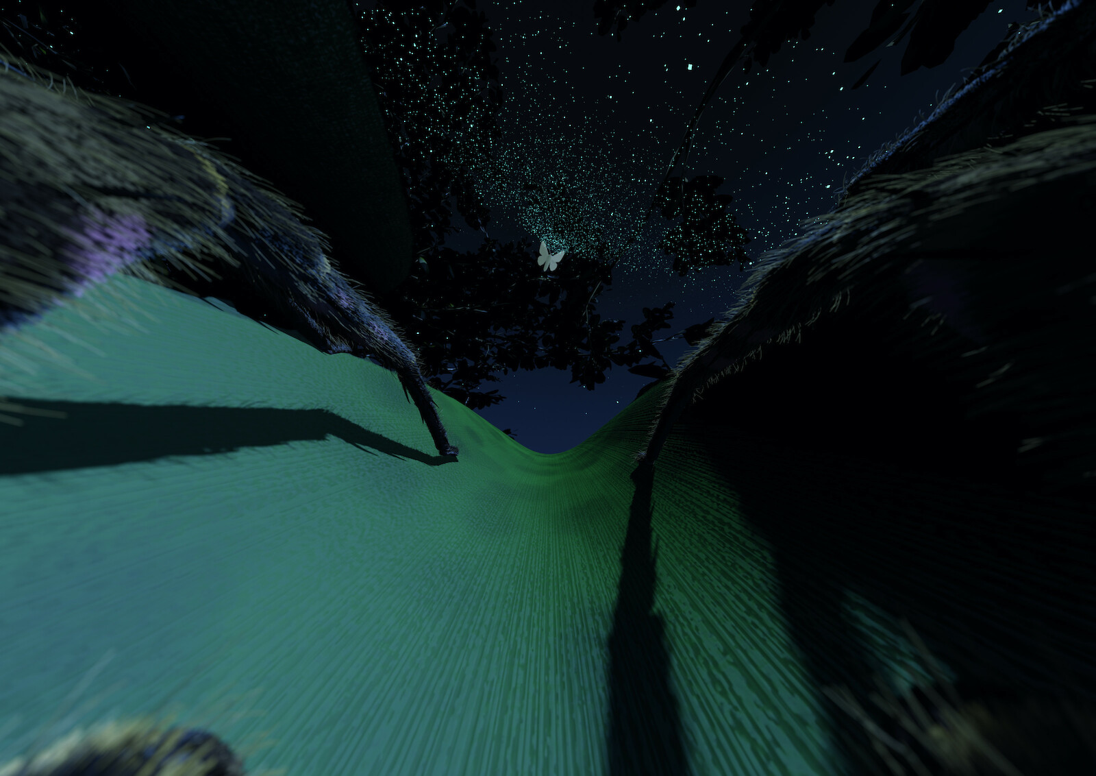 Diplome Knowledge Visualization 2022