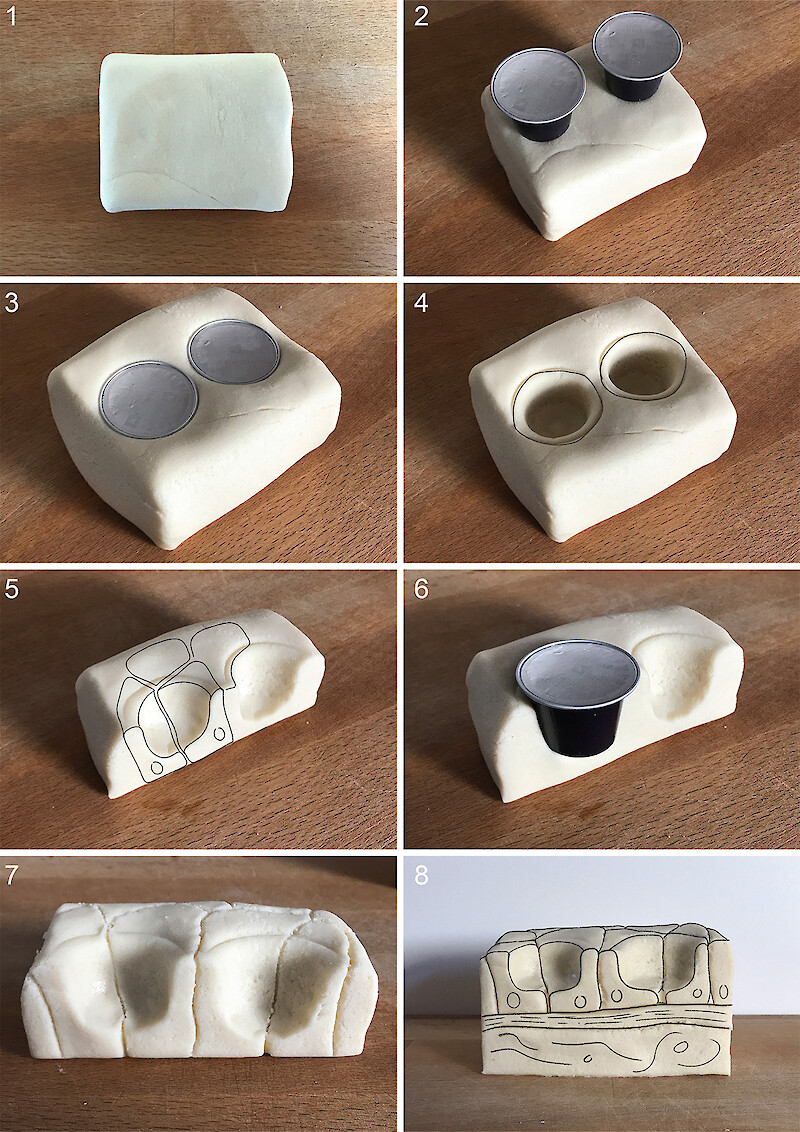 Analog model for supporting cell anatomy. During the work were used both digital and analog models.