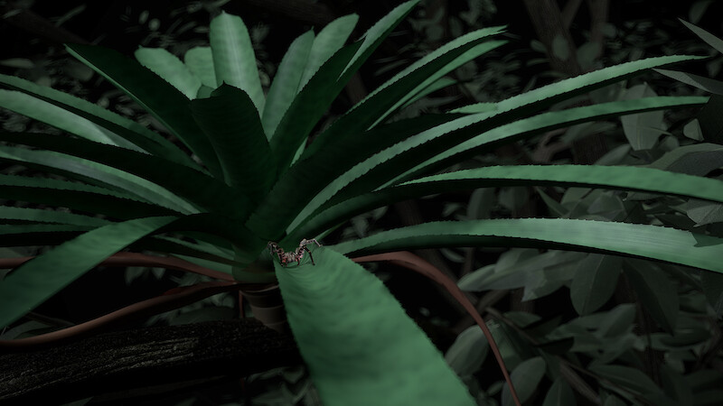 Die Spinne in ihrem Habitat auf einer Bromelie in einem mittelamerikanischen Regenwald. Cinema 4D Szene.