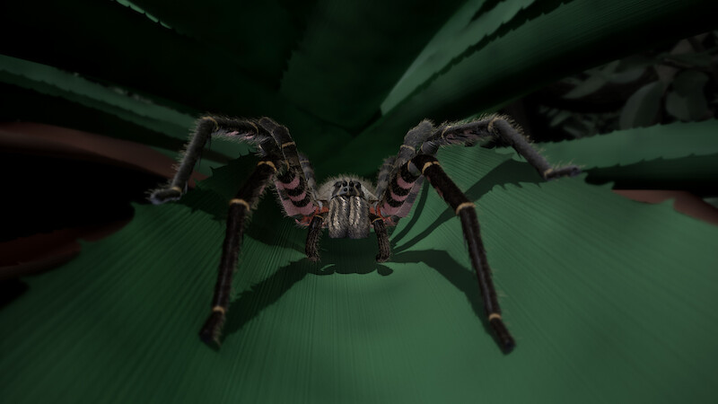 Auf Augenhöhe mit der Grossen Wanderspinne. Filmstill aus dem VR-Animationsfilm.