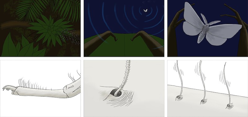 Bilder aus dem Storyboard Digitale Zeichnungen.