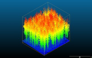 Point Cloud eines Waldes aus LiDAR-Scan. Versuch mit Point Clouds zu arbeiten, anstelle von 3D-Modellen aus Polygonen.