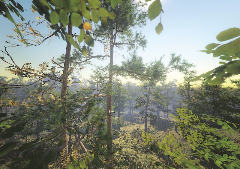 Here Comes the Sun