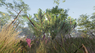 Blick aus dem Kronendach eines lichten Waldes. Der Wald wurde in Unity mit verschiedenen 3D-Modellen aufgebaut und dient als Umgebung für ein VR-Erlebnis.