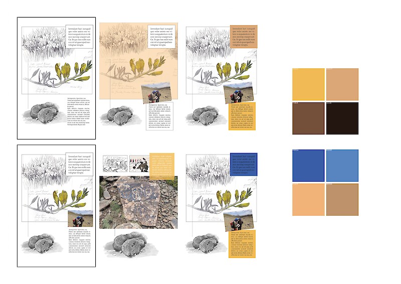 Farbexperimente beim Layout.