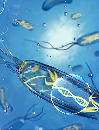 Covervorschlag für das Journal «Nature».