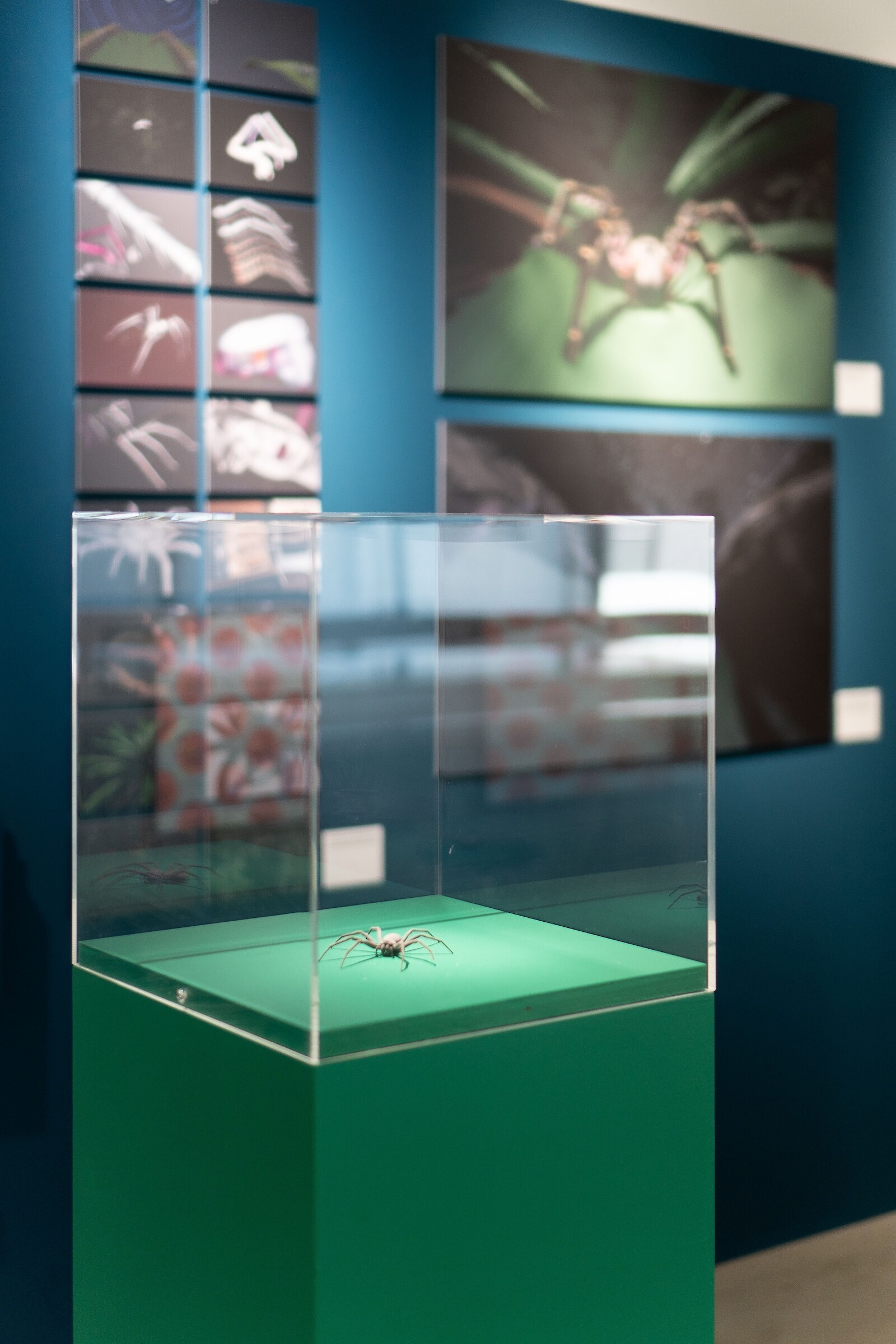 Rückblick Diplomausstellung 2022