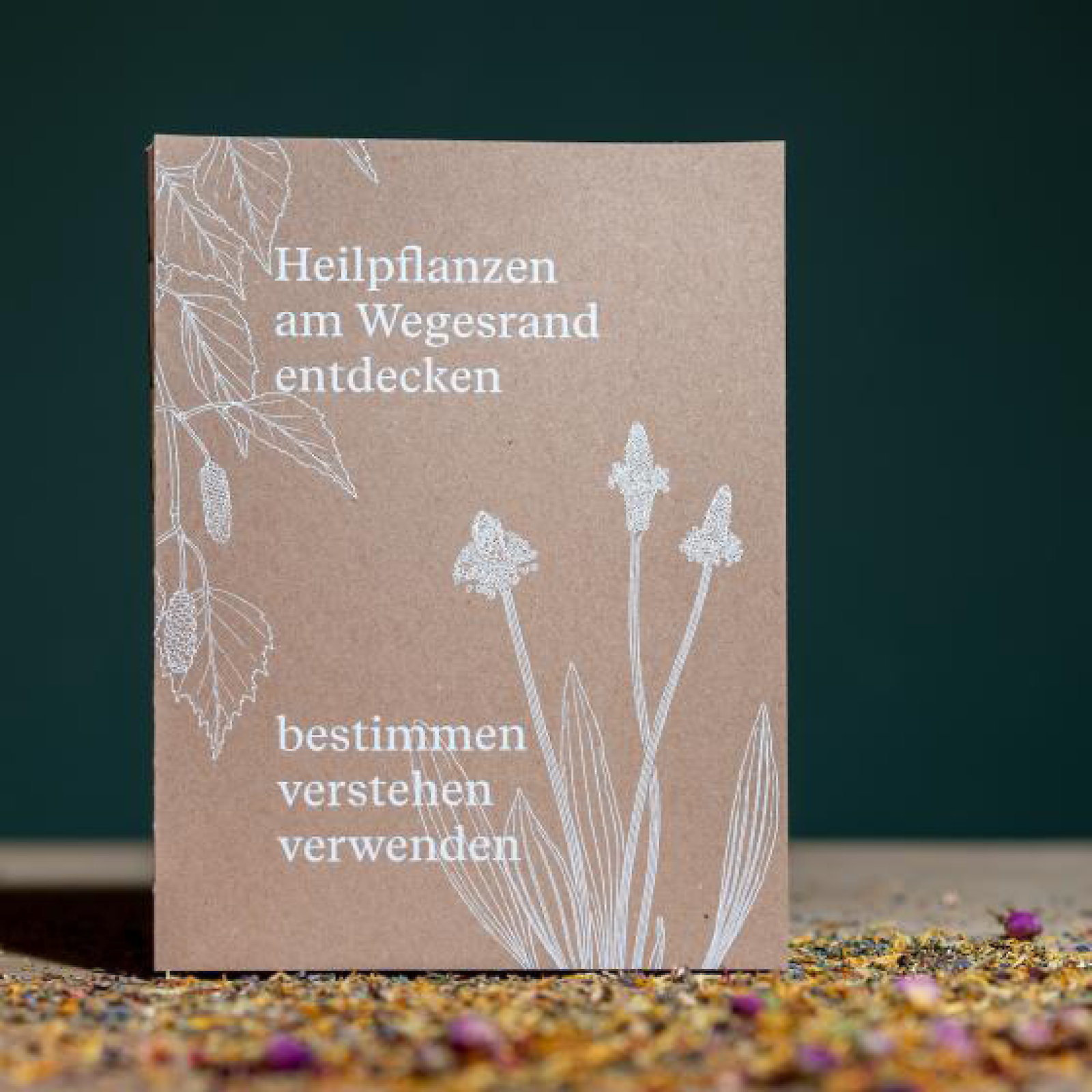 «Heilpflanzen am Wegesrand entdecken» mit Illustrationen von Jasmin Huber