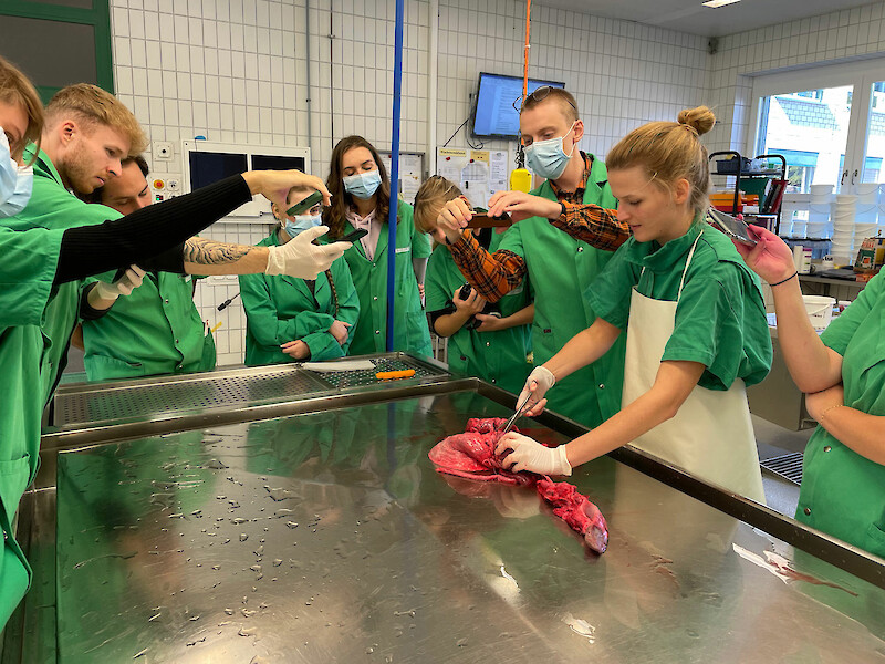 Demonstration des Herzschnittes im Sektionssaal der Pathologie, ausgeführt von Janine Schläpfer. Beobachtet und filmisch dokumentiert von den Studierenden der ZHdK.