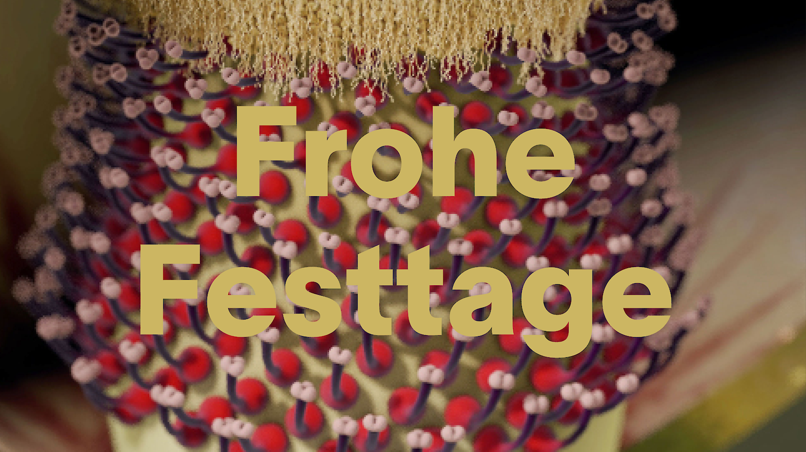 Frohe Festtage