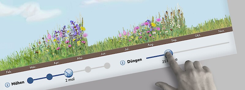 Where have all the flowers gone?