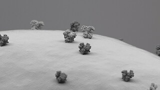 AMPA-Rezeptor und NMDA-Rezeptor Zwei Typen von Membranproteinen auf der Oberfläche eines Neurons, mit Chimera rekonstruiert und mit Cinema 4D bearbeitet.