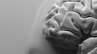 Visualisierung des menschlichen Gehirns (Detail).