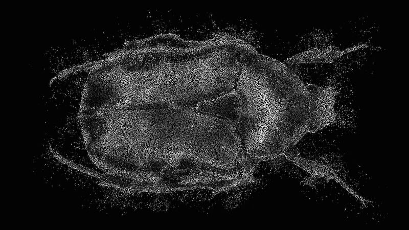 «Auflösung des Käfers». Der Zerfall in Partikel veranschaulicht, dass auch unsere sichtbare Makrowelt letztendlich aus winzig kleinen Teilchen besteht. 3D-Rendering.