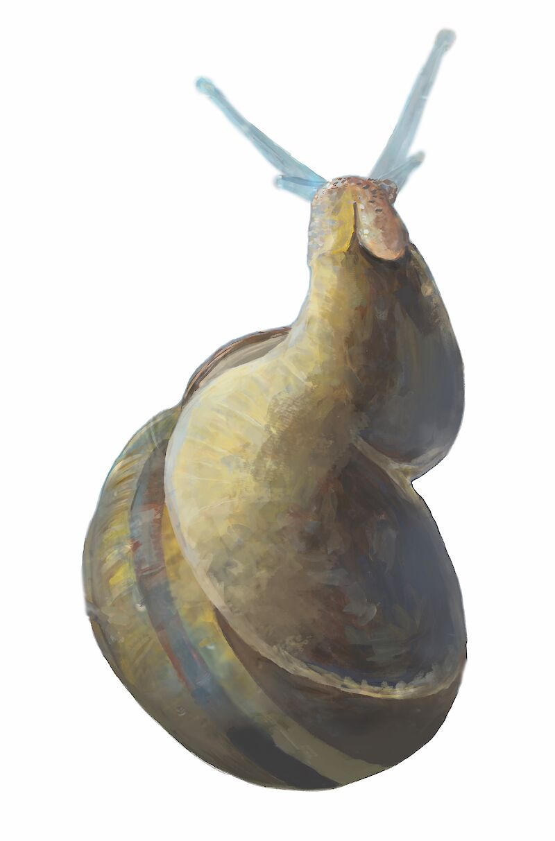 Diplom 2023