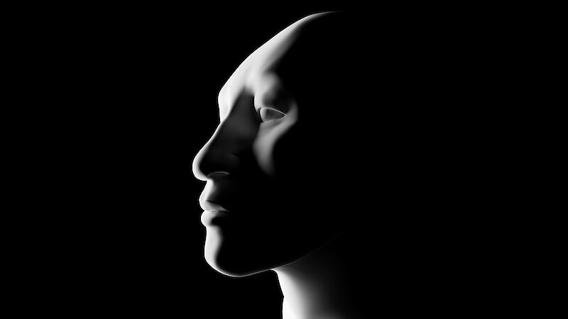 Die Entdeckung des Gesichts