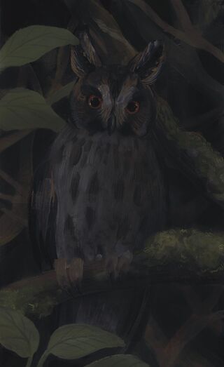 Das Kombinieren von analogen und digitalen Medien half ein Konzept für die Gestaltung der Animation zu entwickeln.