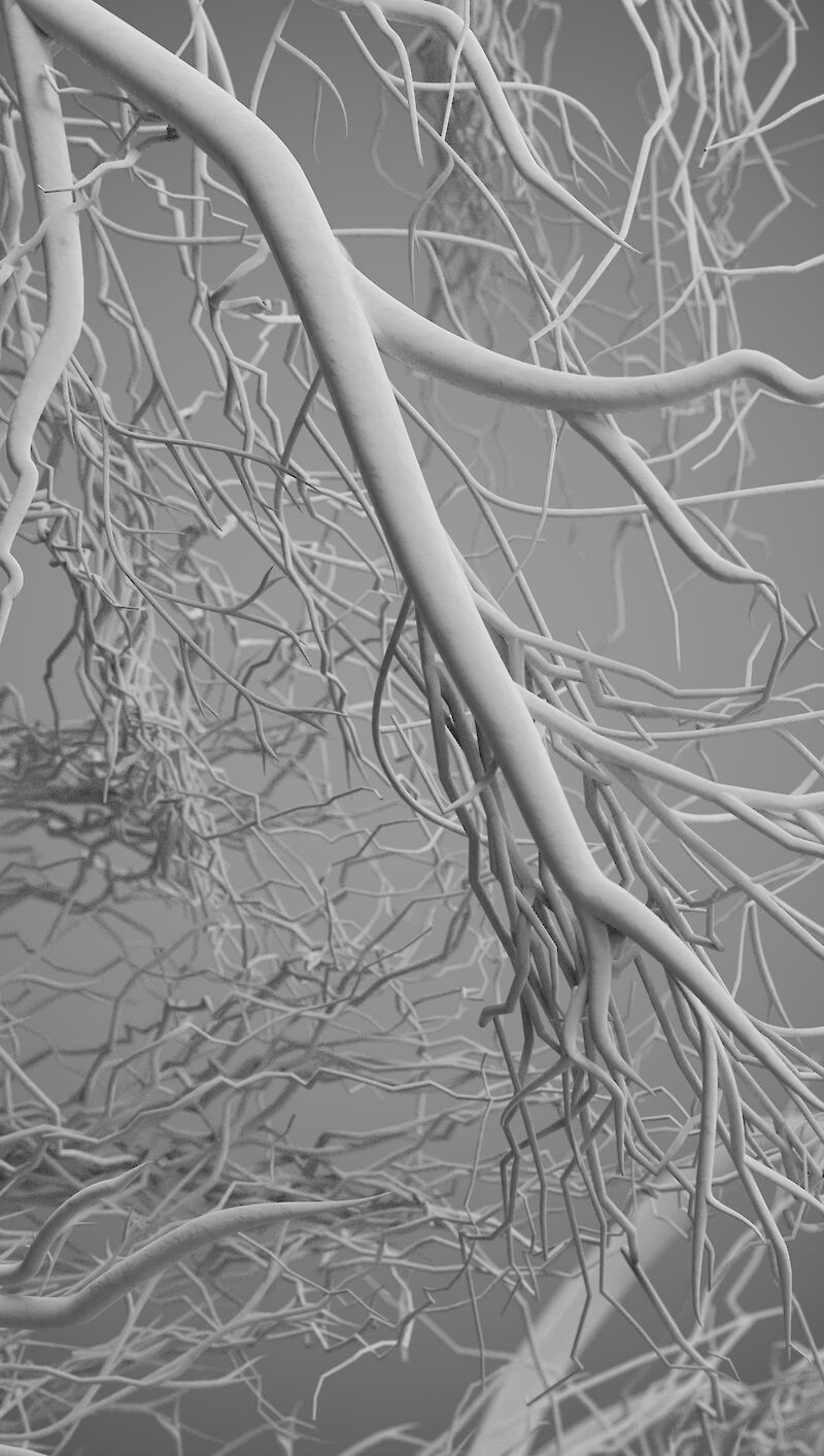 Modell Herzkranzgefässe. Nahaufnahme von Verzweigungen der Arterien. Dem Herzkranzgefäss entspringen zunächst Prearteriolen, welche sich dann zu Arteriolen verjüngen. Modelliert und gerendert in Blender.