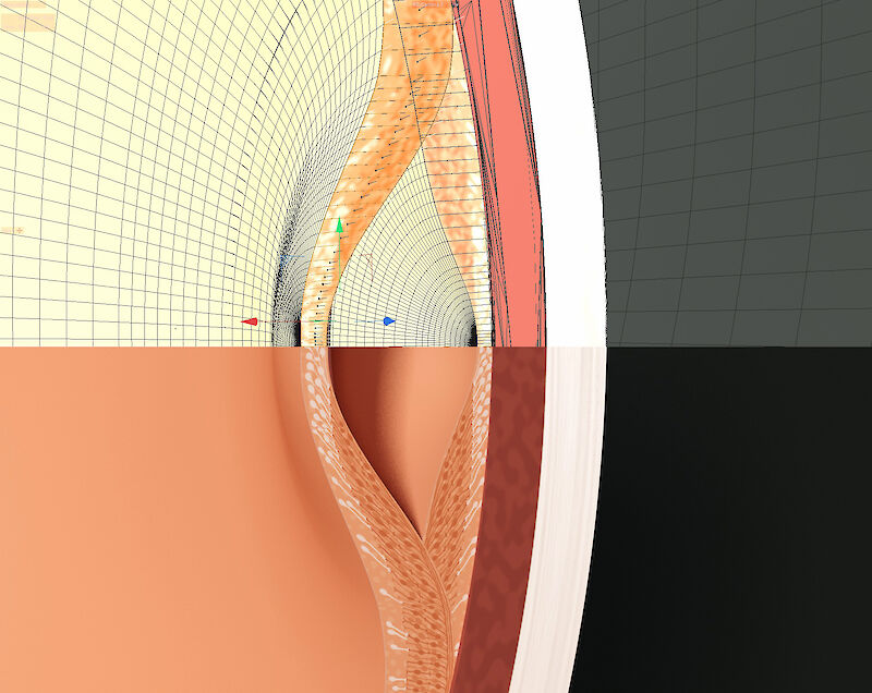 Visible Vision