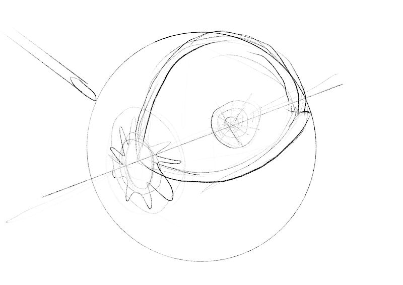 Visible Vision