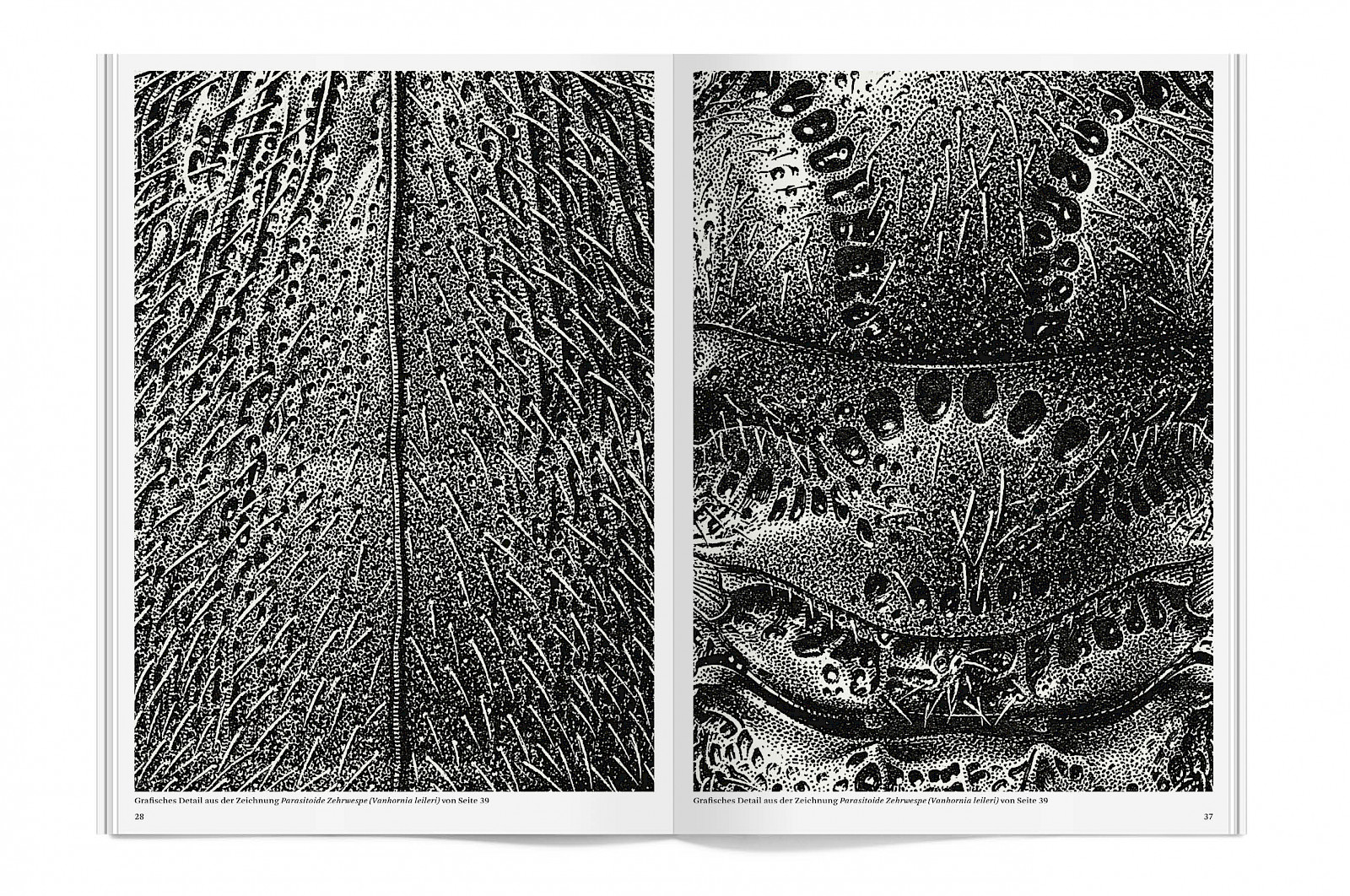 Mikro | Makro – eines der schönsten Bücher 2023!