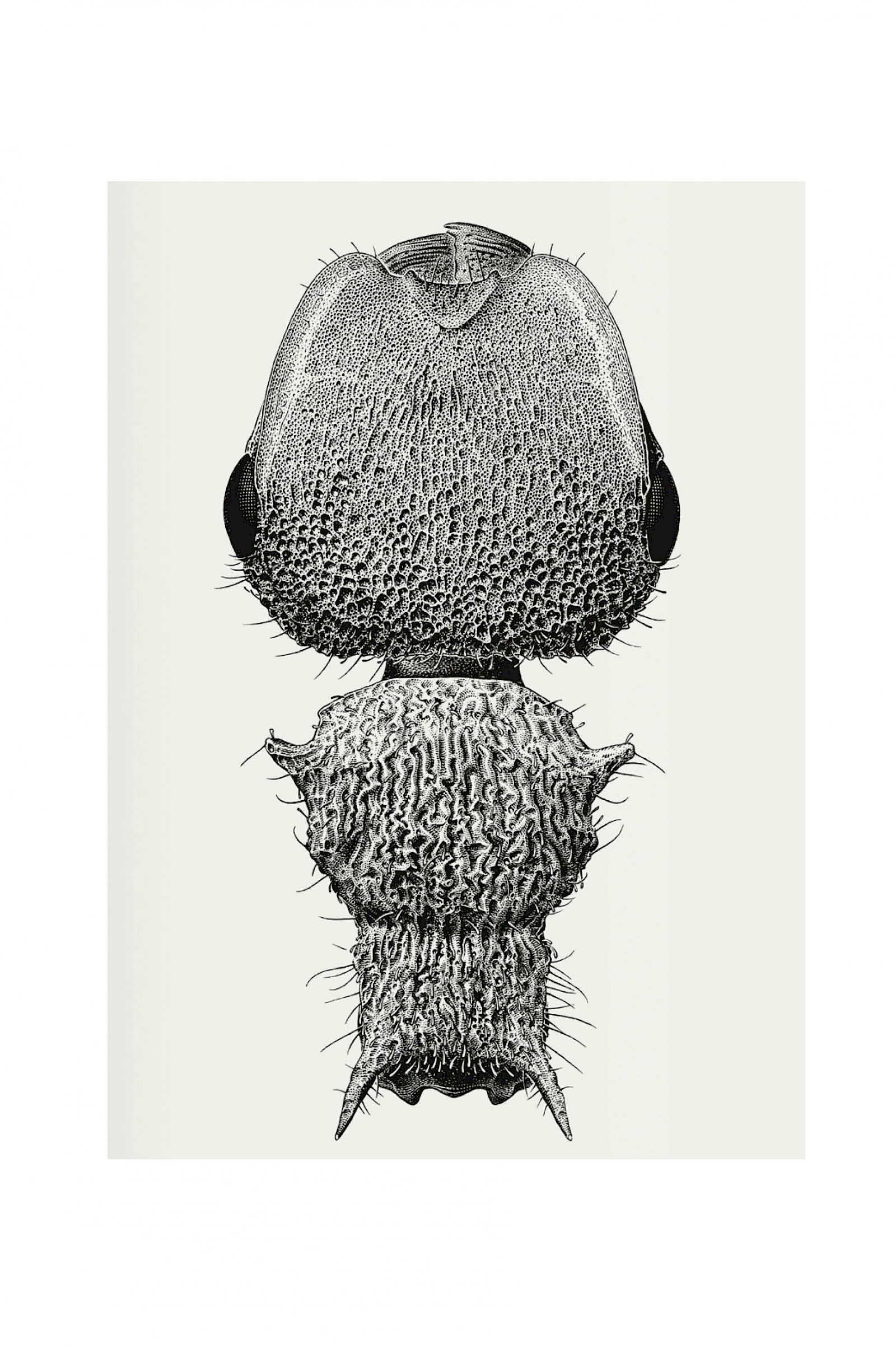 Mikro | Makro – eines der schönsten Bücher 2023!