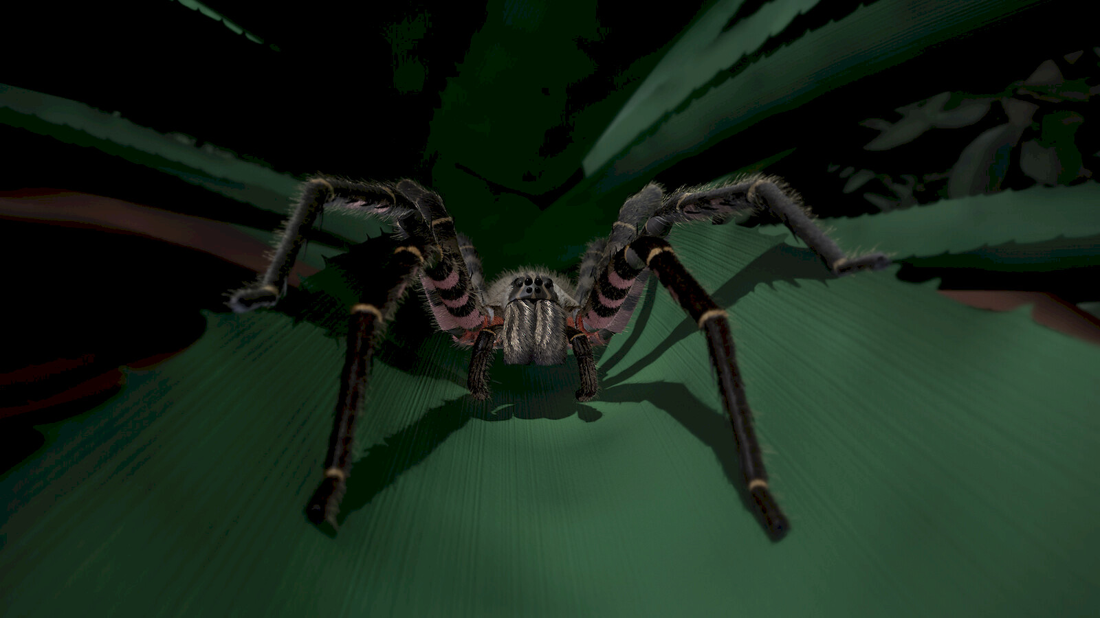 Auf Augenhöhe mit der Grossen Wanderspinne. Filmstill aus dem VR-Animationsfilm.