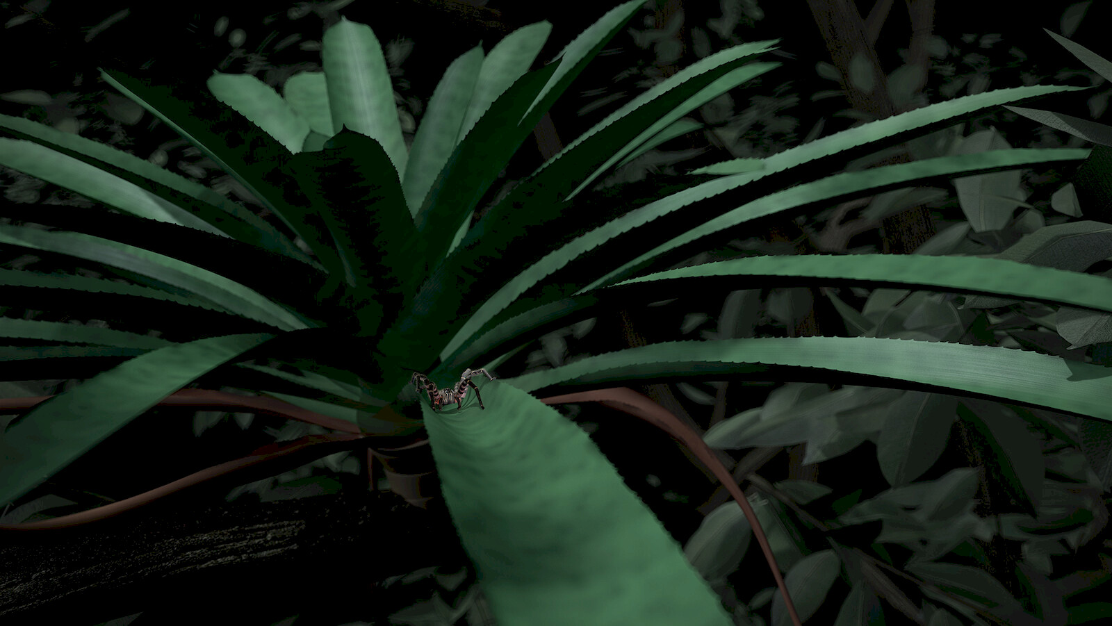 Die Spinne in ihrem Habitat auf einer Bromelie in einem mittelamerikanischen Regenwald. Cinema 4D Szene.