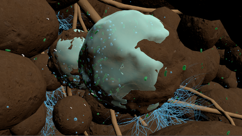 The Living Soils