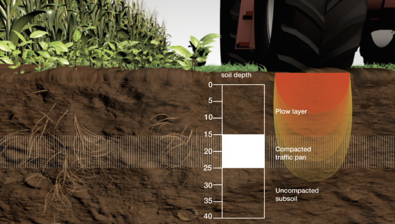 The Living Soils