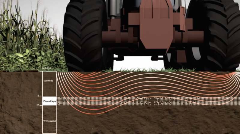 The Living Soils