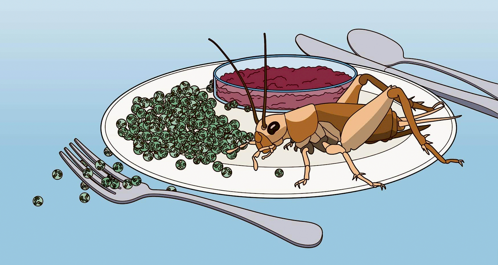 «Was essen wir morgen?» Illustration: Alessandro Holler und Sandro Lochau (Quaint)