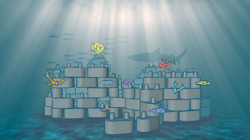 Clone, Create, Cnidaria