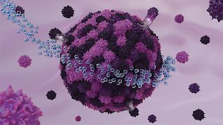 A tumor containing drug-sensitive and drug-resistant cancer cells being treated with therapy.