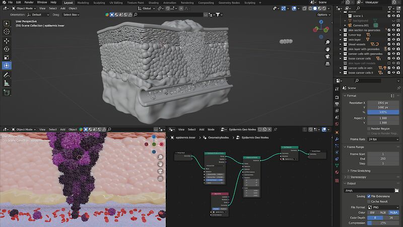 The making of the skin section with geometry nodes in Blender.
