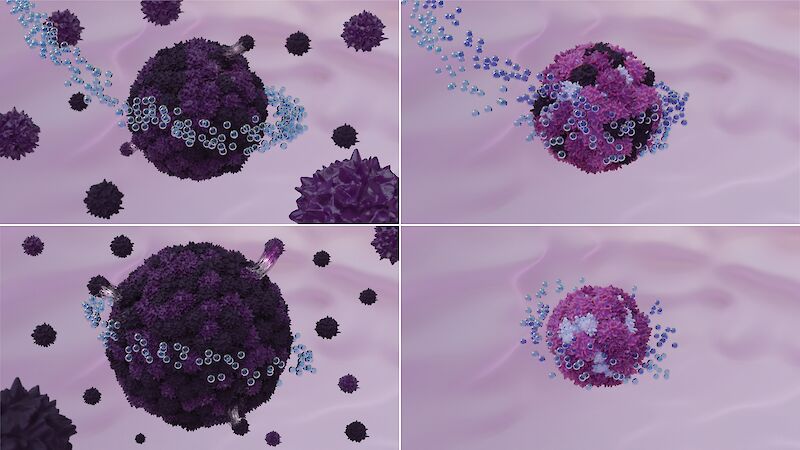 The effects of one therapy on a tumor (left) versus the effects of multi-drug therapy on a tumor (right).