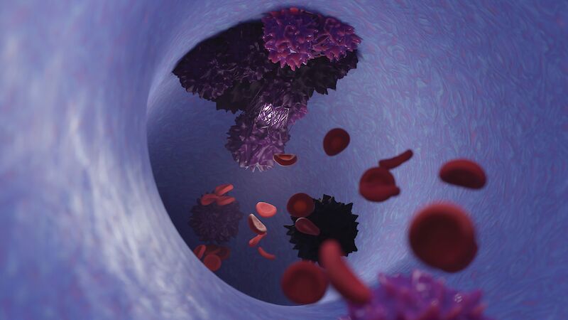 An inside view of cancer cells entering a vein. Also known as metastasis, where cancer cells spread throughout the body via blood vessels.