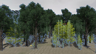 Aufbau der virtuellen Waldszene und Umgebung im Programm Unity