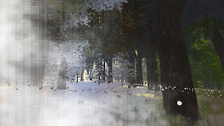 Waldvisualisierung für Virtual Reality, basierend auf realen Inventurdaten des Marteloskops in Baden, AG.