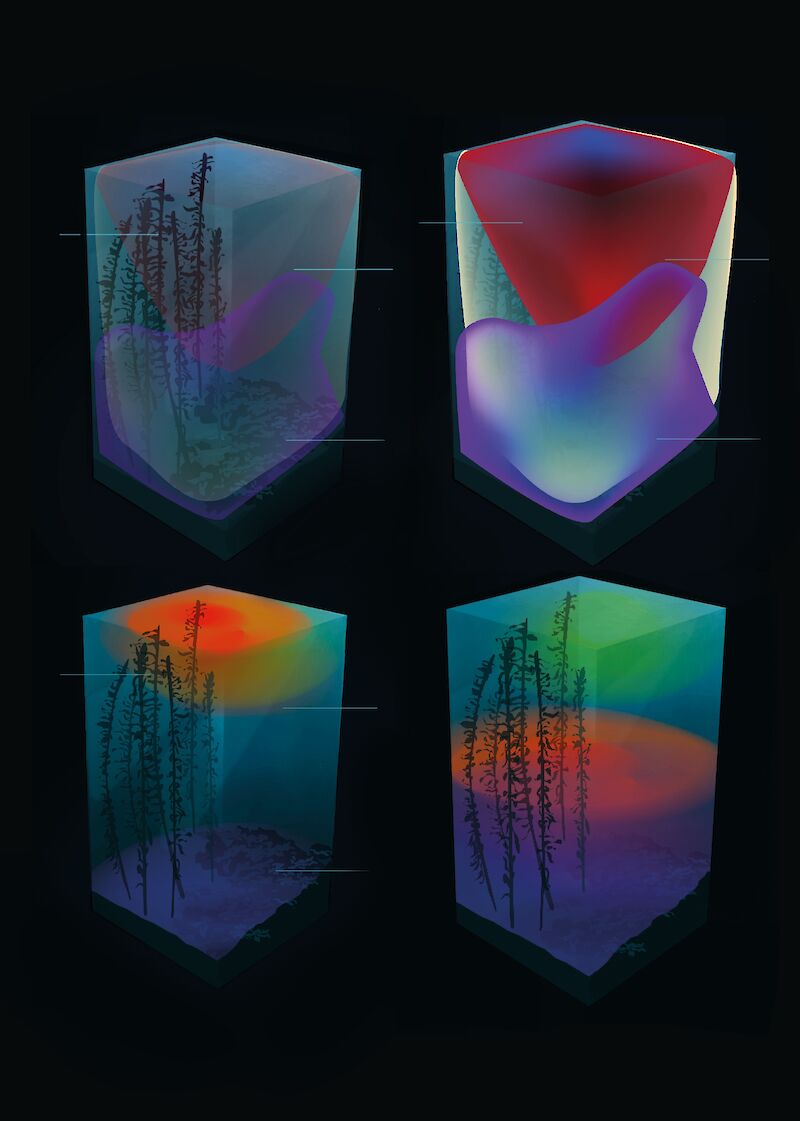 Verschiedene Farb- und Farbvarianten in Adobe Illustrator und Adobe After Effects.