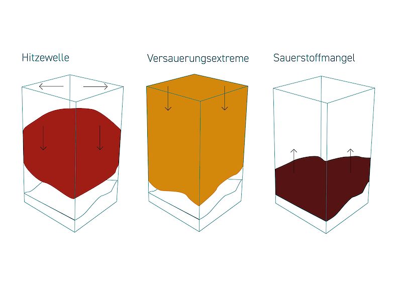 Form- und Farbfindung der drei verschiedenen Faktoren – eine schematische Lösung, um die Bewegungen der Faktoren verständlich zu visualisieren.